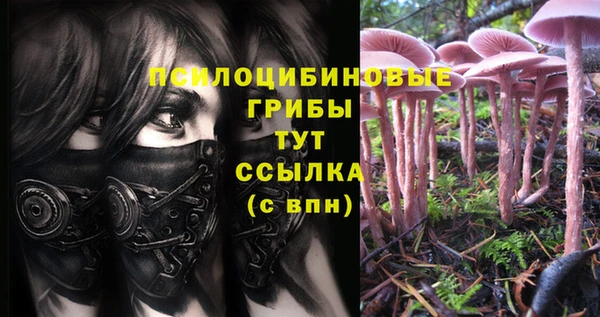 МДПВ Киренск
