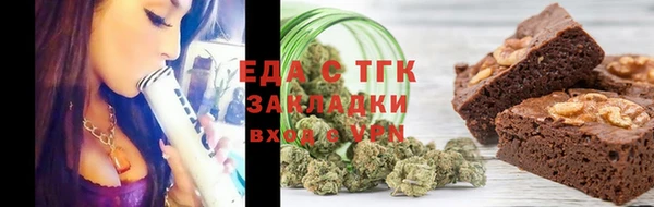 индика Арсеньев