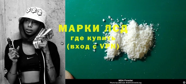 индика Арсеньев