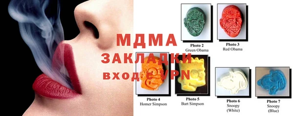 индика Арсеньев