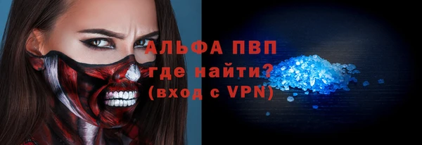 индика Арсеньев