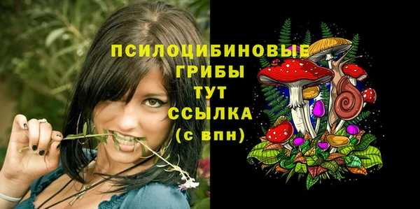 соль курить ск Армянск