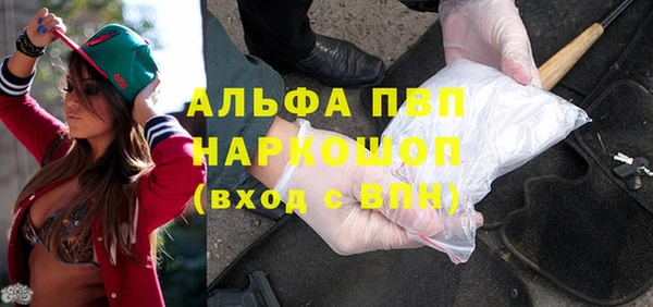 индика Арсеньев