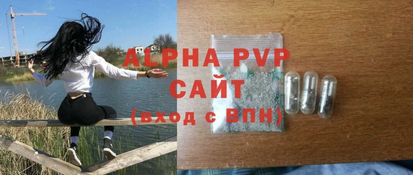 индика Арсеньев