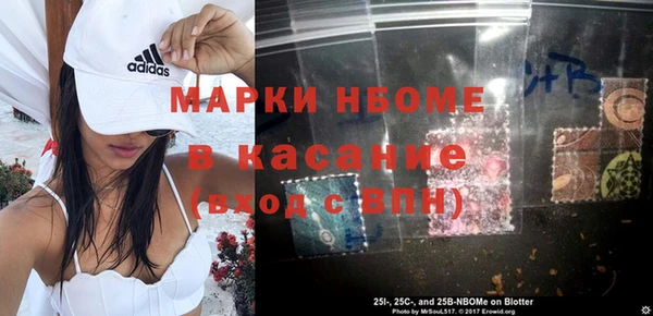 индика Арсеньев