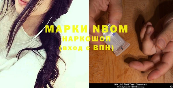 индика Арсеньев