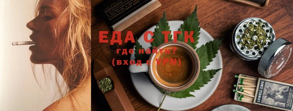 индика Арсеньев