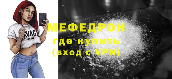 индика Арсеньев
