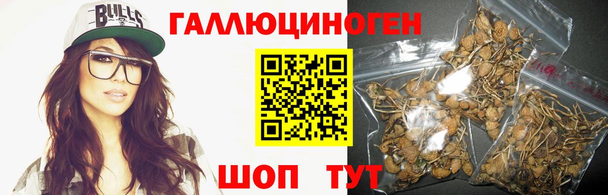 Выкса  Псилоцибиновые грибы GOLDEN TEACHER  Вход с VPN  Галлюциногенные грибы прущие грибы 